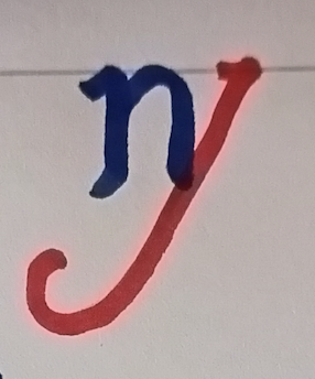 The ny ligature, written by hand: the n (blue), then the y's tick, diagonal and loop (red), touching the n's right-hand leg